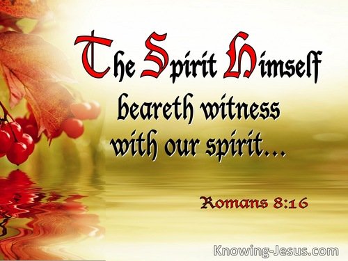 The witness of the Spirit-Romans 8-16